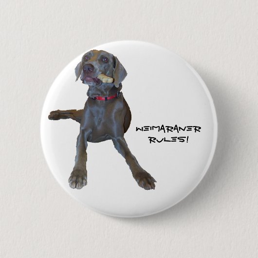 Weimaraners Regel! Button (Vorderseite)