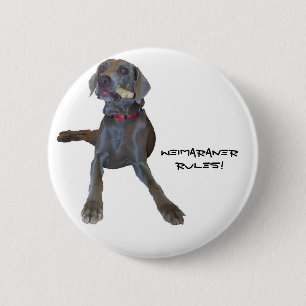 Weimaraners Regel! Button