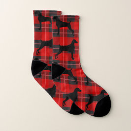 WEIMARANERS UND KARIERTE SOCKEN