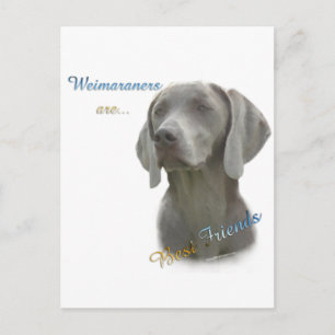 Weimeraner Best Friend 2 Postkarte