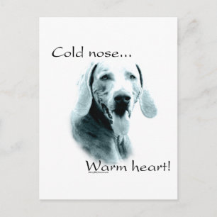 Weimeraner Cold Nose Warmes Herz Postkarte