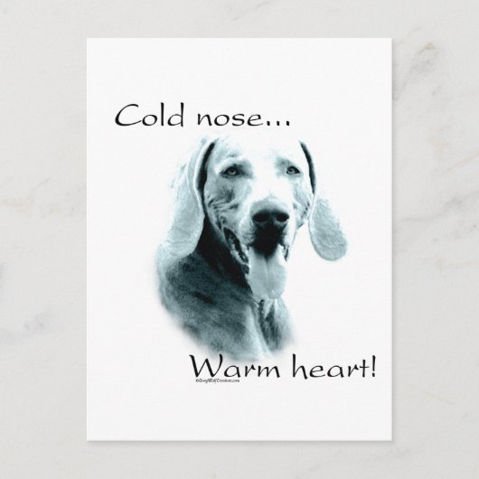 Weimeraner Cold Nose Warmes Herz Postkarte (Vorderseite)