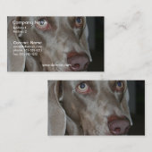 Weimeraner HundeVisitenkarte Visitenkarte (Vorne/Hinten)