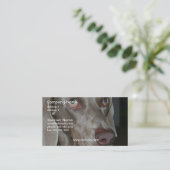 Weimeraner HundeVisitenkarte Visitenkarte (Stehend Vorderseite)