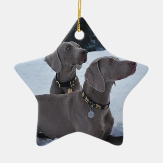 Weimeraner im Schnee Keramik Ornament (Vorne)