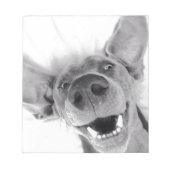 Weimeraner Notizblock (Vorderseite)