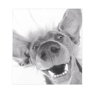 Weimeraner Notizblock