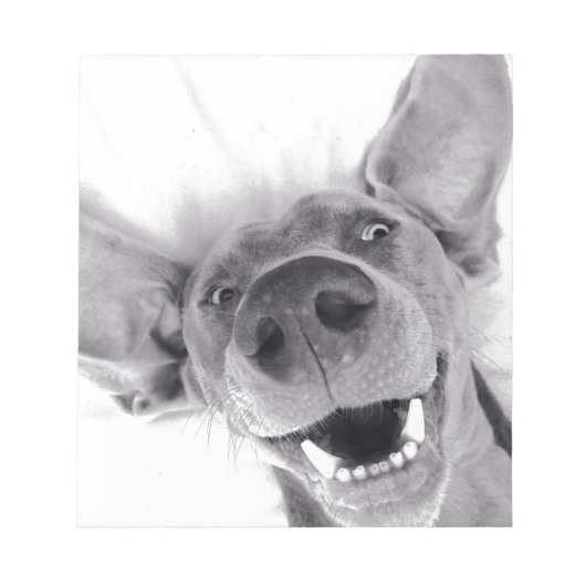 Weimeraner Notizblock (Vorderseite)