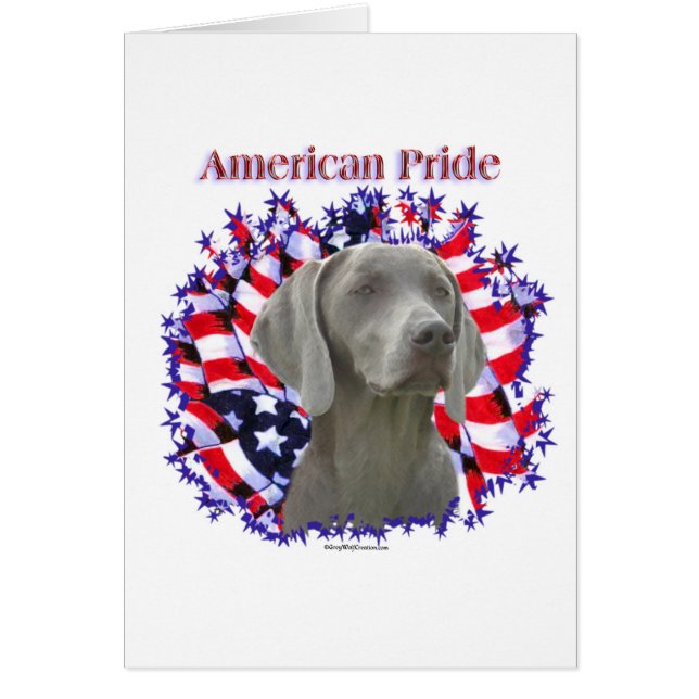 Weimeraner Pride (Vorne)