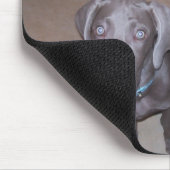 weimeraners mousepad (Ecke)