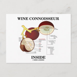 Wein Connoisseur Inside (Wine Grape Berry) Postkarte