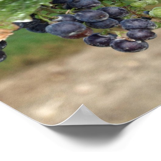 Wein im Weinkeller Poster (Ecke)