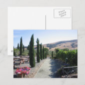 Wein-Land Postkarte (Vorne/Hinten)