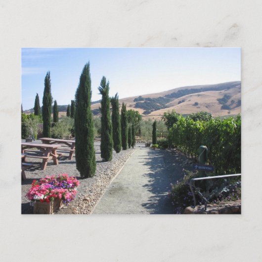 Wein-Land Postkarte (Vorderseite)