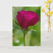 Wein-Schalen Karte (Gelbe Blume)