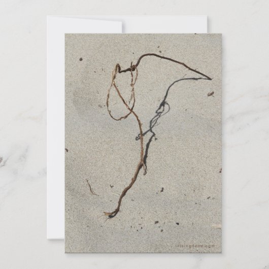 Wein/Stehender Felsen, Strand von Cannon, Oregon Karte (Vorderseite)