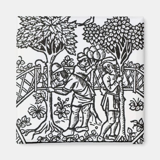 Weinanbau Magnet (Vorne)