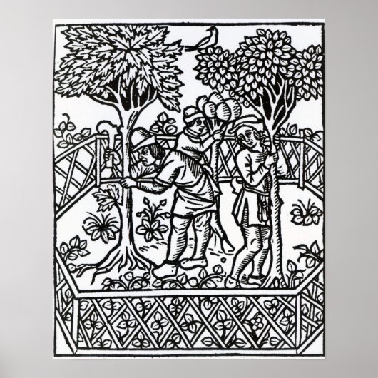 Weinanbau Poster (Vorne)