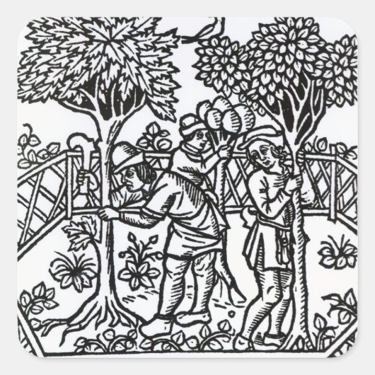 Weinanbau Quadratischer Aufkleber (Vorderseite)