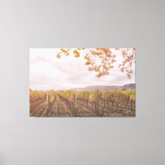 Weinbau im Herbst Leinwanddruck (Vorderseite)