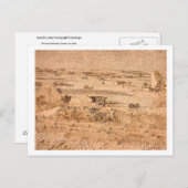 Weinbaugebiet, Vincent van Gogh Postkarte (Vorne/Hinten)