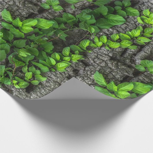 Weinbaum Geschenkpapier (Ecke)