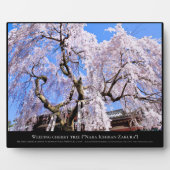 Weinbaum ("Nara Ichiban-Zakura") Fotoplatte (Vorderseite)