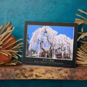 Weinbaum ("Nara Ichiban-Zakura") Fotoplatte (Seite)