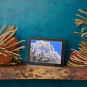 Weinbaum ("Nara Ichiban-Zakura") Fotoplatte (Seite)