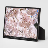 Weinbaum ("Nara Ichiban-Zakura") Fotoplatte (Seite)