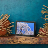 Weinbaum ("Nara Ichiban-Zakura") Fotoplatte (Seite)