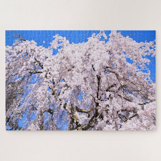 Weinbaum ("Nara Ichiban-Zakura") Puzzle (Horizontal)