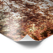 Weinbaumblüte, Ohio Fotodruck (Ecke)