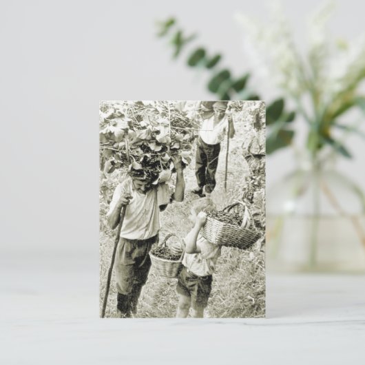 Weinbereitung Weinernte Postkarte (Stehend Vorderseite)
