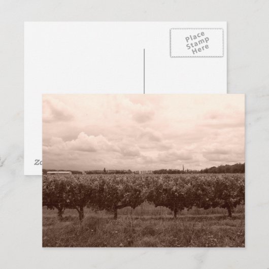 Weinberg 1 postkarte (Vorne/Hinten)