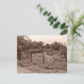 Weinberg 2 postkarte (Stehend Vorderseite)