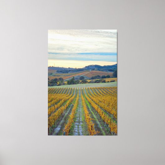 Weinberg bei Sonnenuntergang Leinwanddruck (Vorderseite)