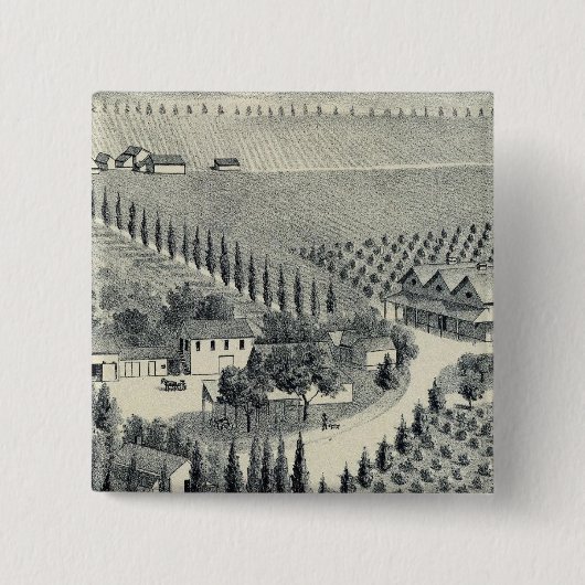 Weinberg Eggers, Fresno Button (Vorderseite)