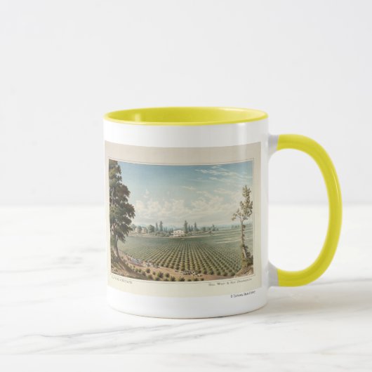 Weinberg EL Pinal, San Joaquin County Tasse (Rechts)