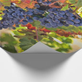 Weinberg Geschenkpapier (Ecke)