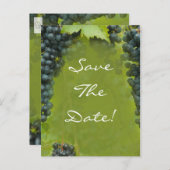 Weinberg Hochzeit retten Datum Ankündigungspostkarte (Vorne/Hinten)