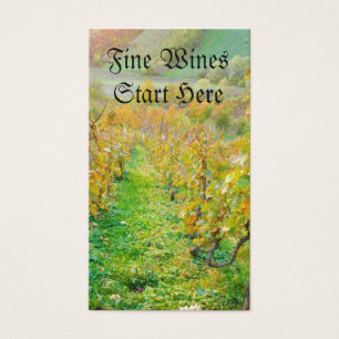 Weinberg im Herbst