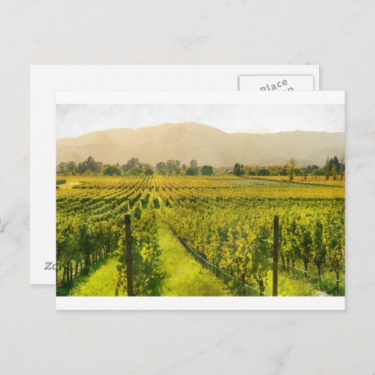 Weinberg im Herbst im Napoleon Tal Postkarte (Vorne/Hinten)