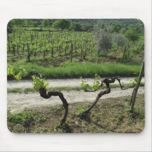 Weinberg in Chianti Region von Italien Mousepad