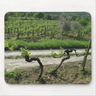 Weinberg in Chianti Region von Italien Mousepad