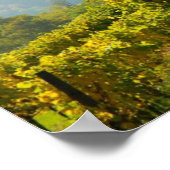 Weinberg in der Nähe von Krems Poster (Ecke)