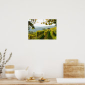 Weinberg in der Nähe von Krems Poster (Küche)