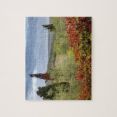 Weinberg in der Nähe von Montalcino, Toskana, Ital Puzzle (Vertikal)