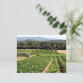 Weinberg in Frankreich Postkarte (Stehend Vorderseite)