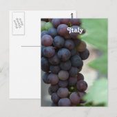 Weinberg in Italien Postkarte (Vorne/Hinten)